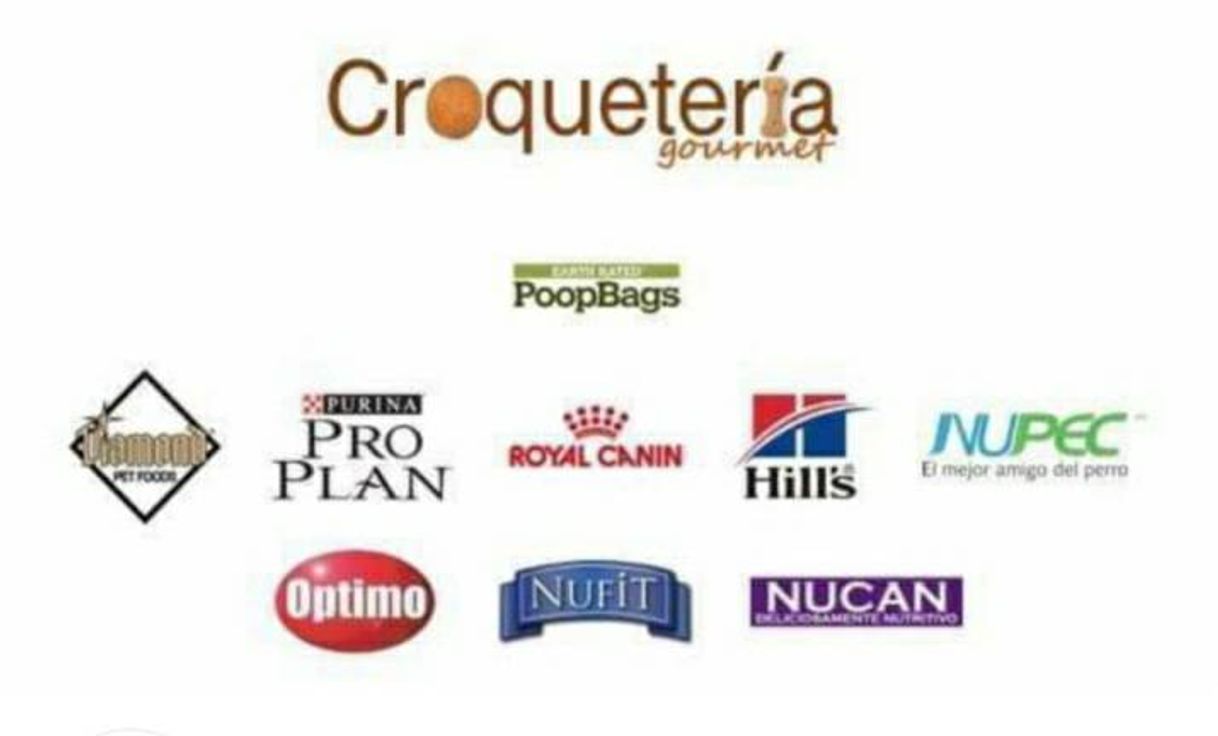 Social Alimento para perros y gatos hasta la puerta de tu casa