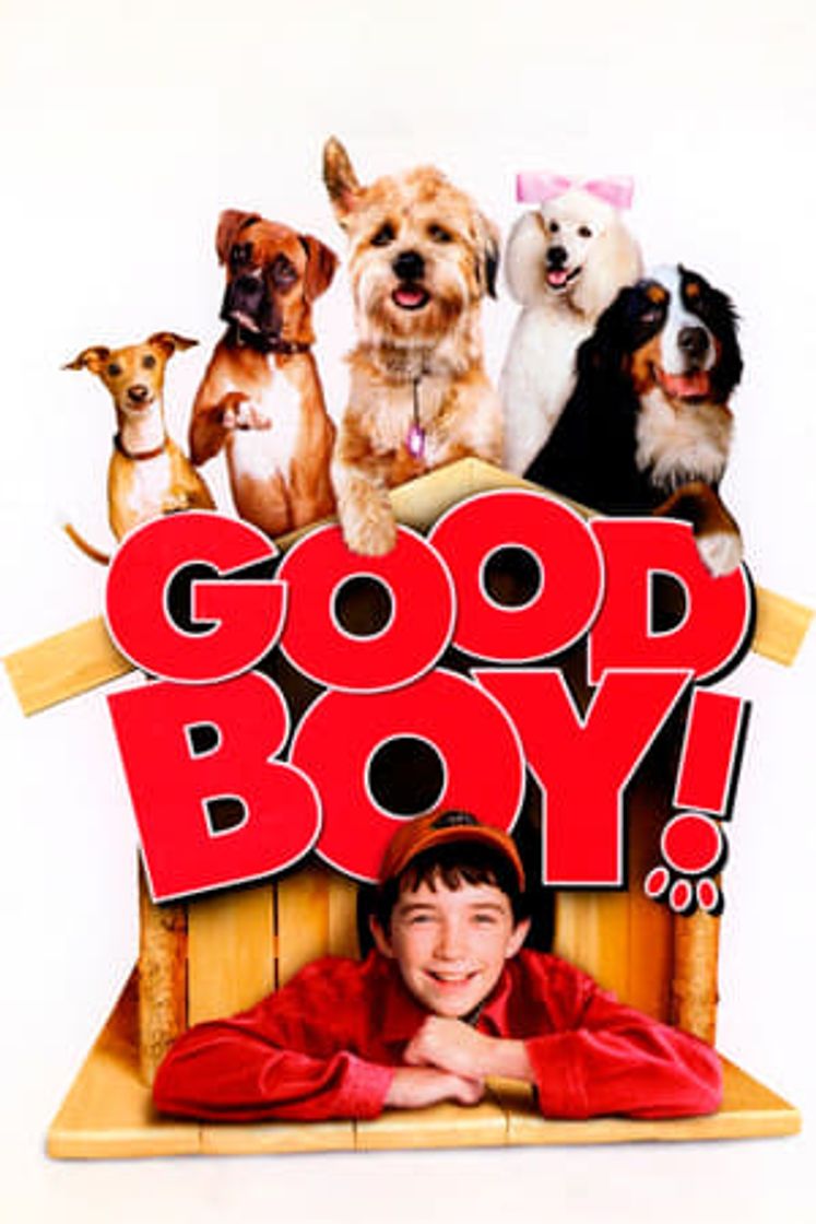 Movie Un perro de otro mundo