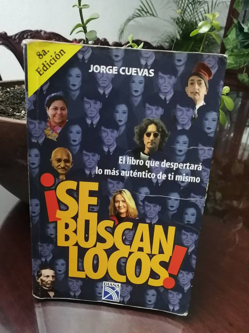 Book Se buscan locos/ Crazy People Wanted