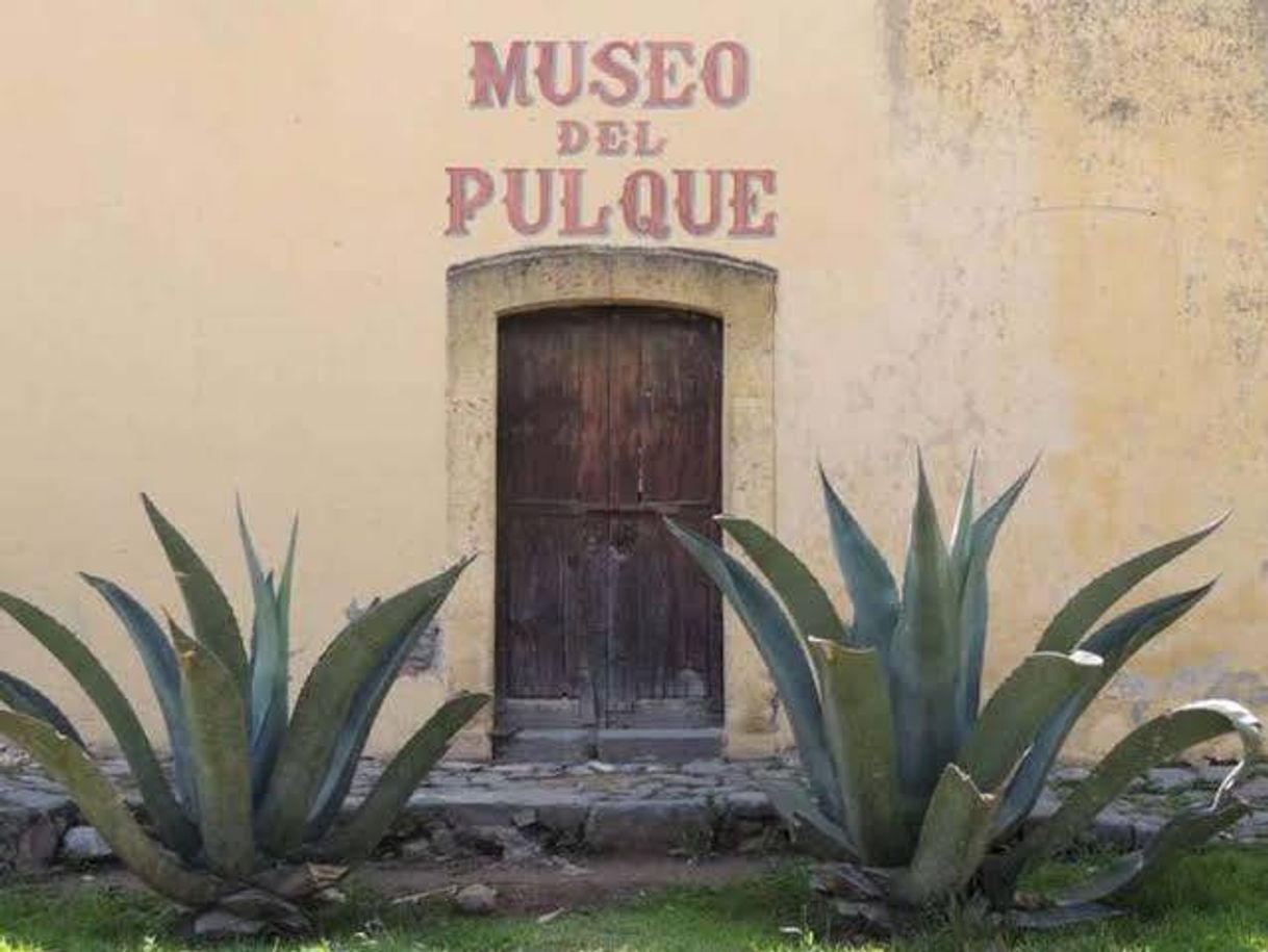 Fashion Museo del Pulque y las Pulquerías