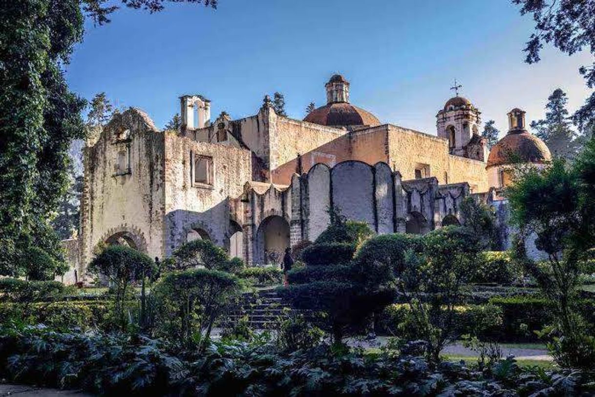 Place Desierto de Los Leones