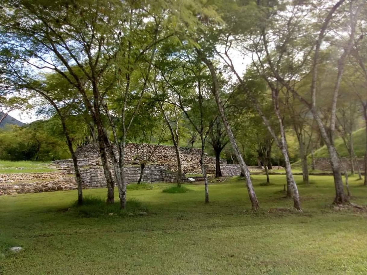 Lugar Zona Arqueológica Tancama