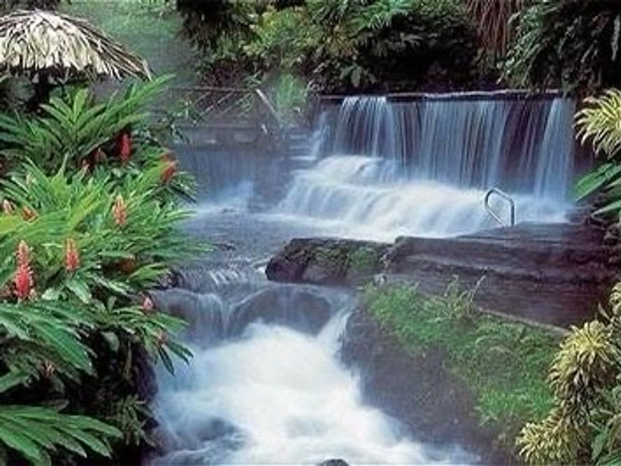 Lugar Parque Ecologico Volcan Arenal