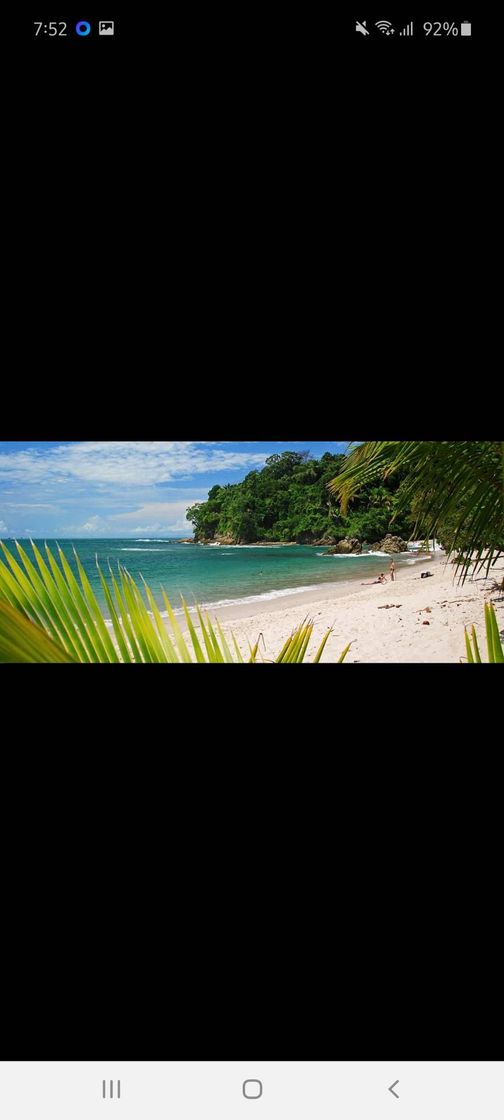 Place Manuel Antonio