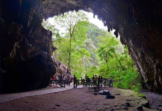 Cueva del guácharo