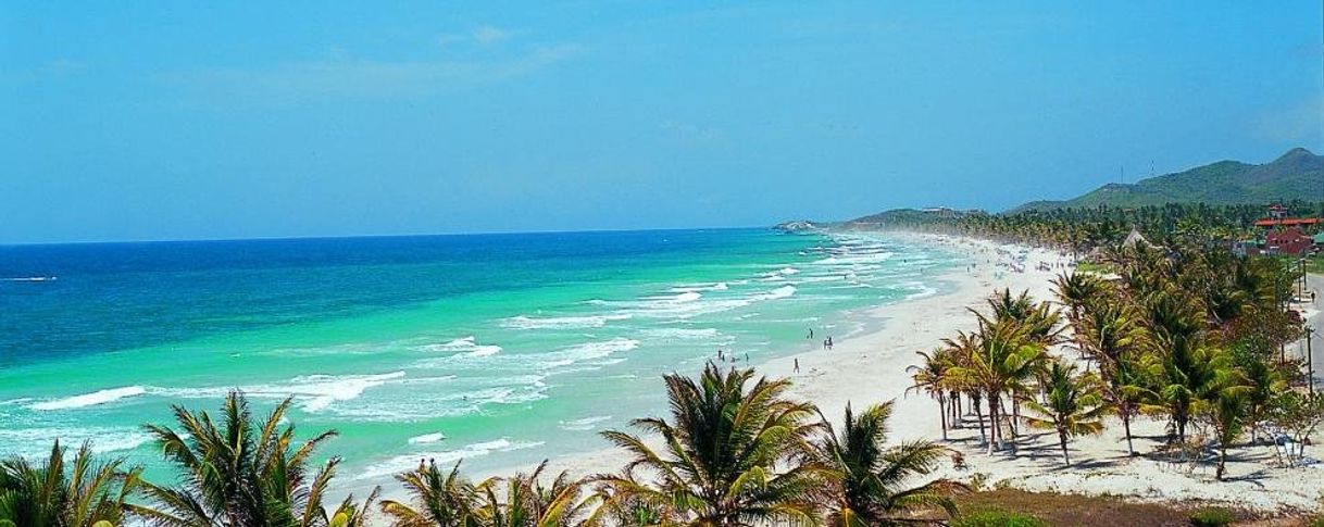 Social Isla de Margarita