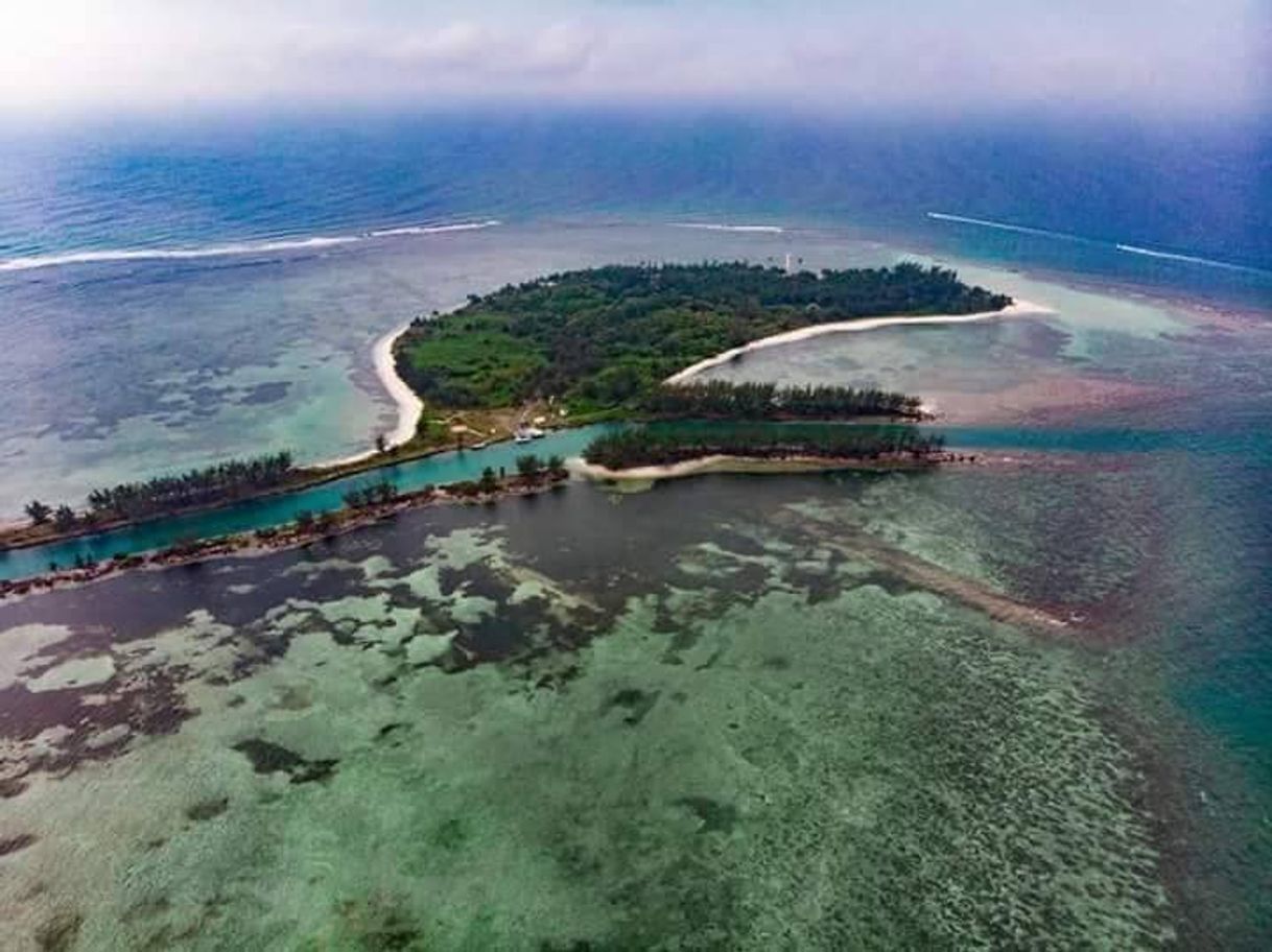 Lugar Isla Lobos