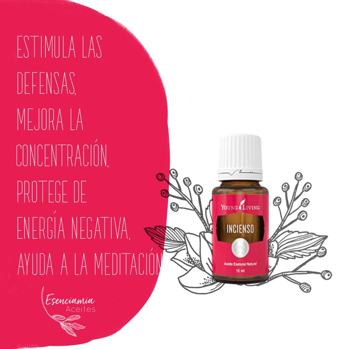 Producto Aceite incienso 