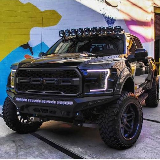 Raptor 🦖