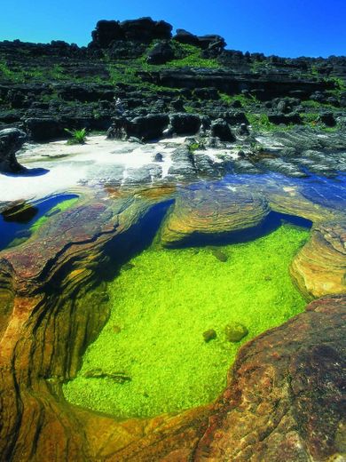 Roraima