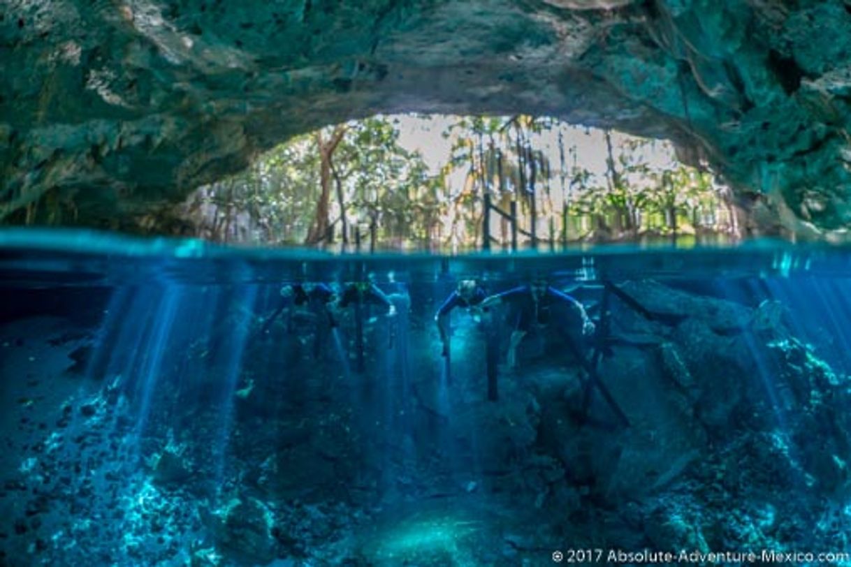 Place Cenote Dos Ojos