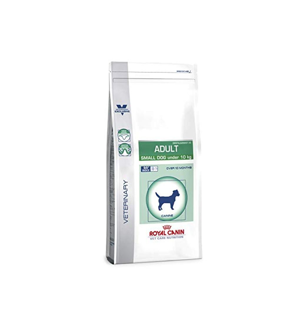 Producto Royal Canin C