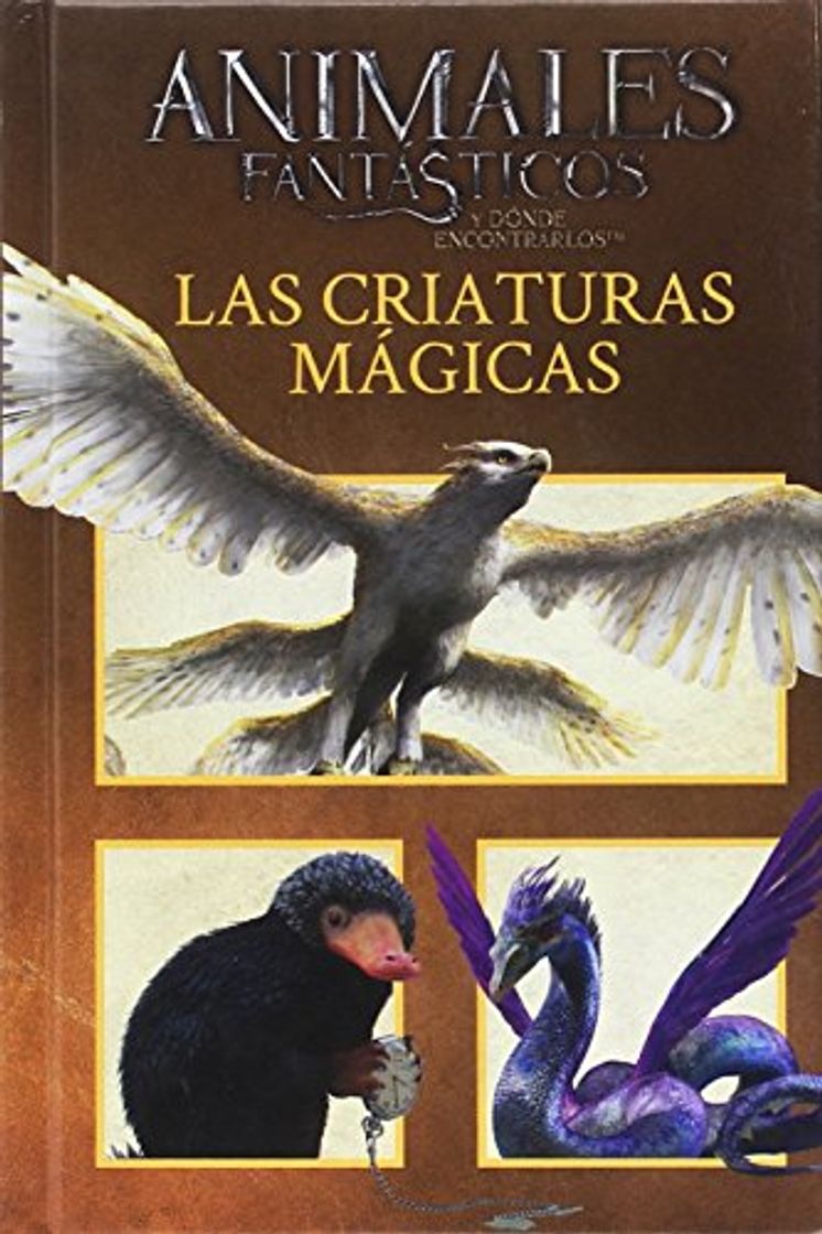 Books Animales fantásticos