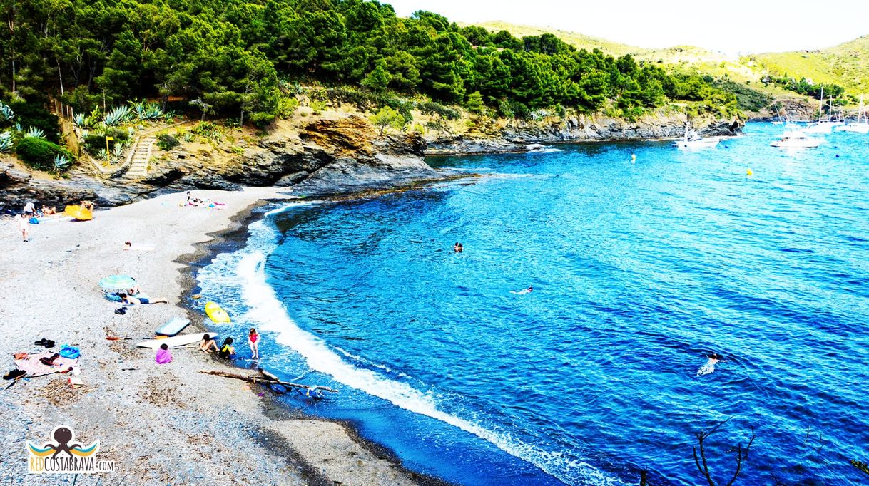 Lugar Cala Calitjàs / Es Calitjas