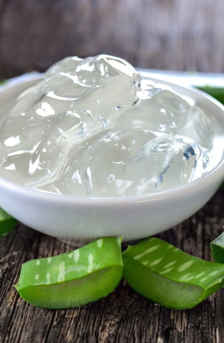 Fashion Aloe Vera 💚