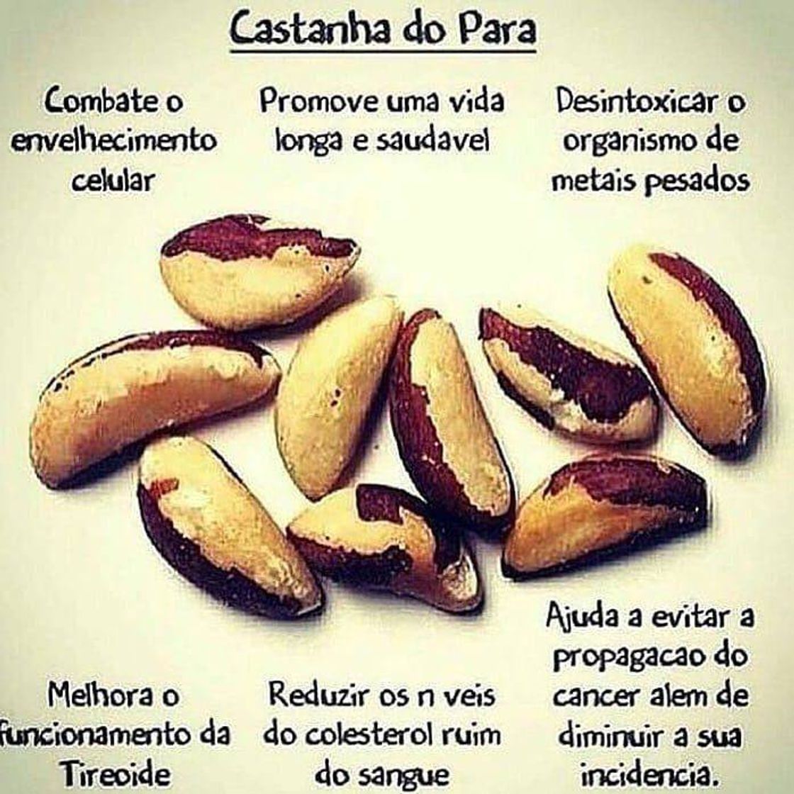 Moda Castanha do Pará seus benefícios!...