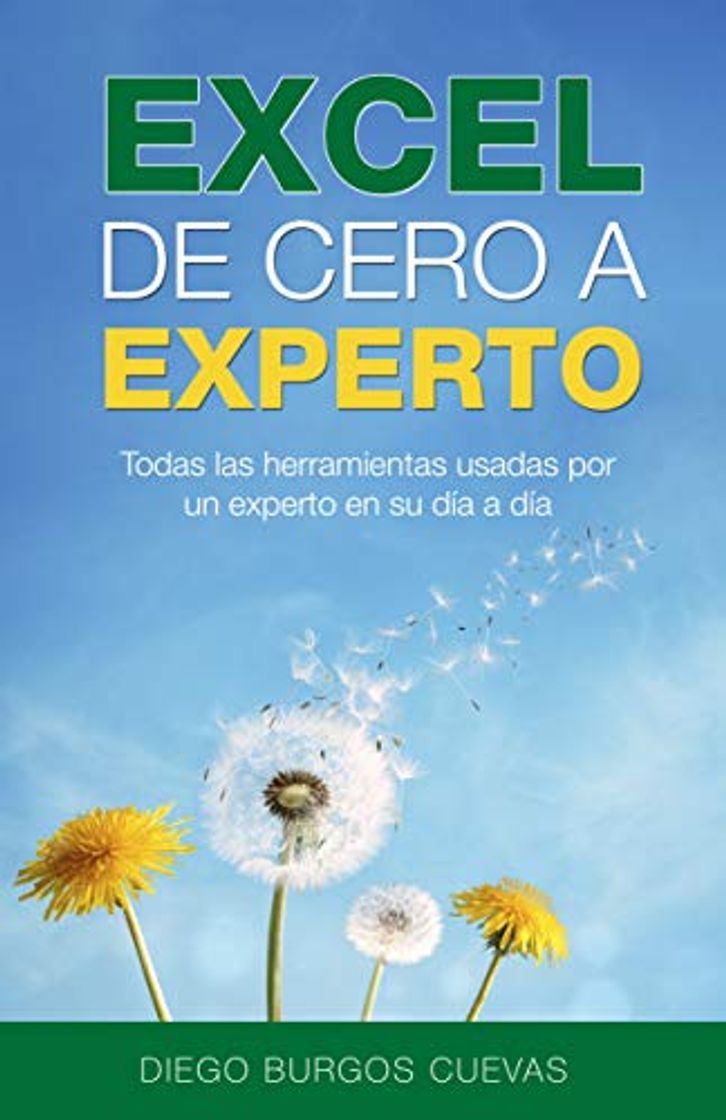 Libro Excel de cero a experto: Todas las herramientas usadas por un experto