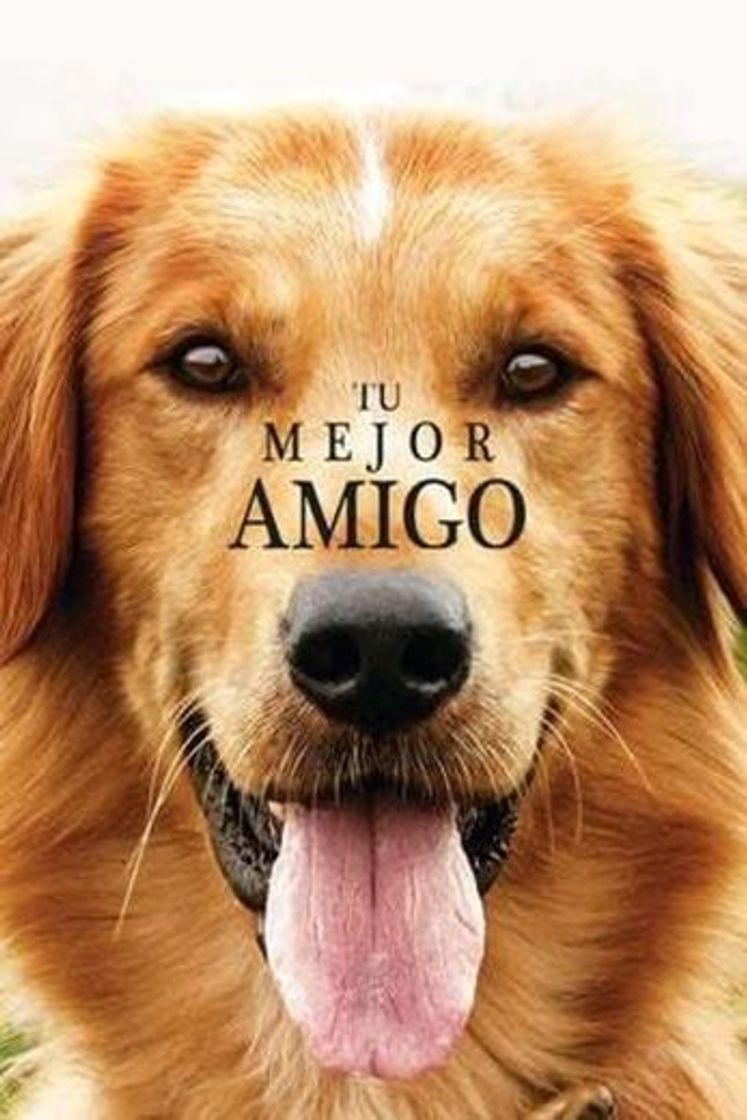 Movie Tu mejor amigo