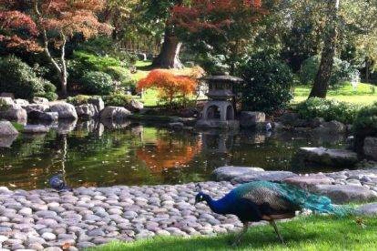 Place Kyoto Garden