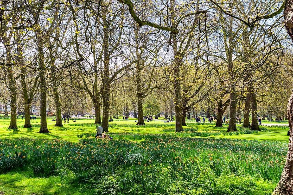 Place Green Park