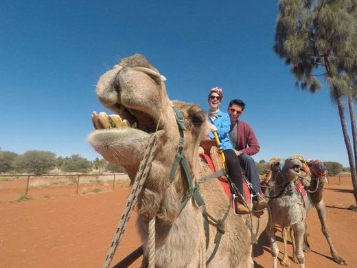 Chris Hill's Uluru Camel Tours