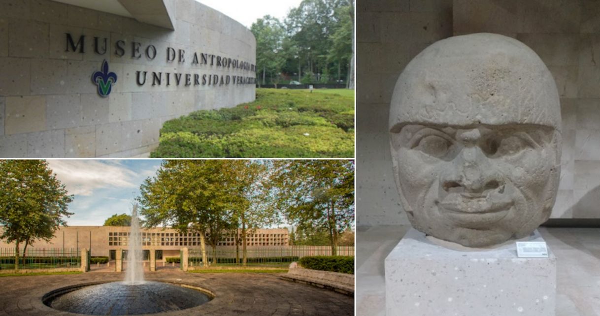 Place Museo de Antropología de Xalapa