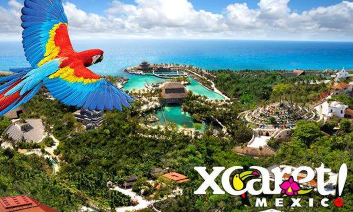 Place XCARET