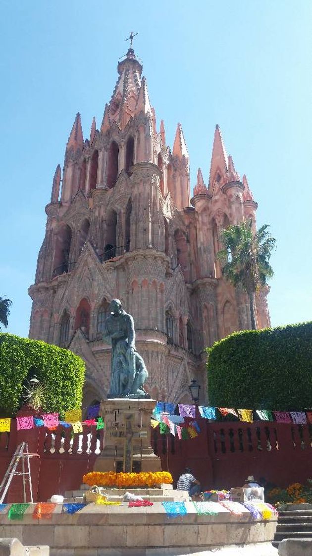 Place San Miguel de Allende