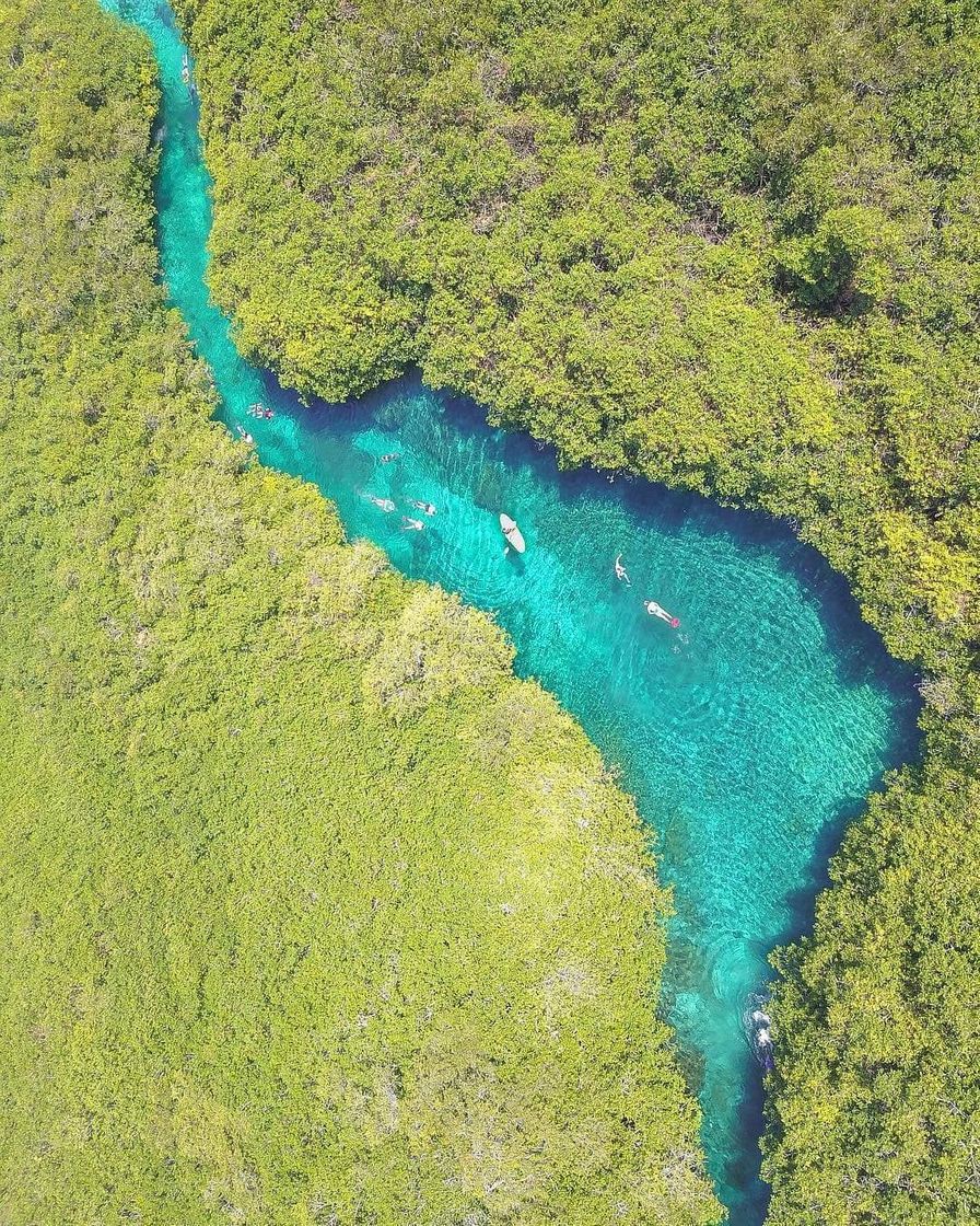 Restaurants Cenote Manatí