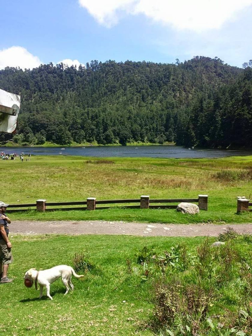 Lugar Lagunas de Zempoala