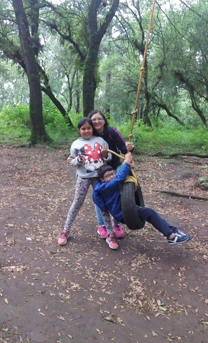 Lugar Parque Los Columpios