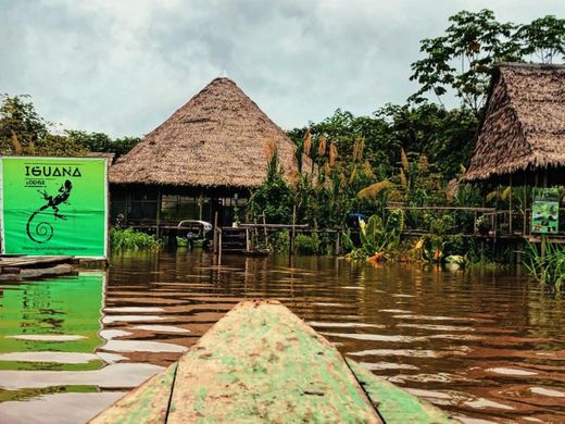 Iquitos