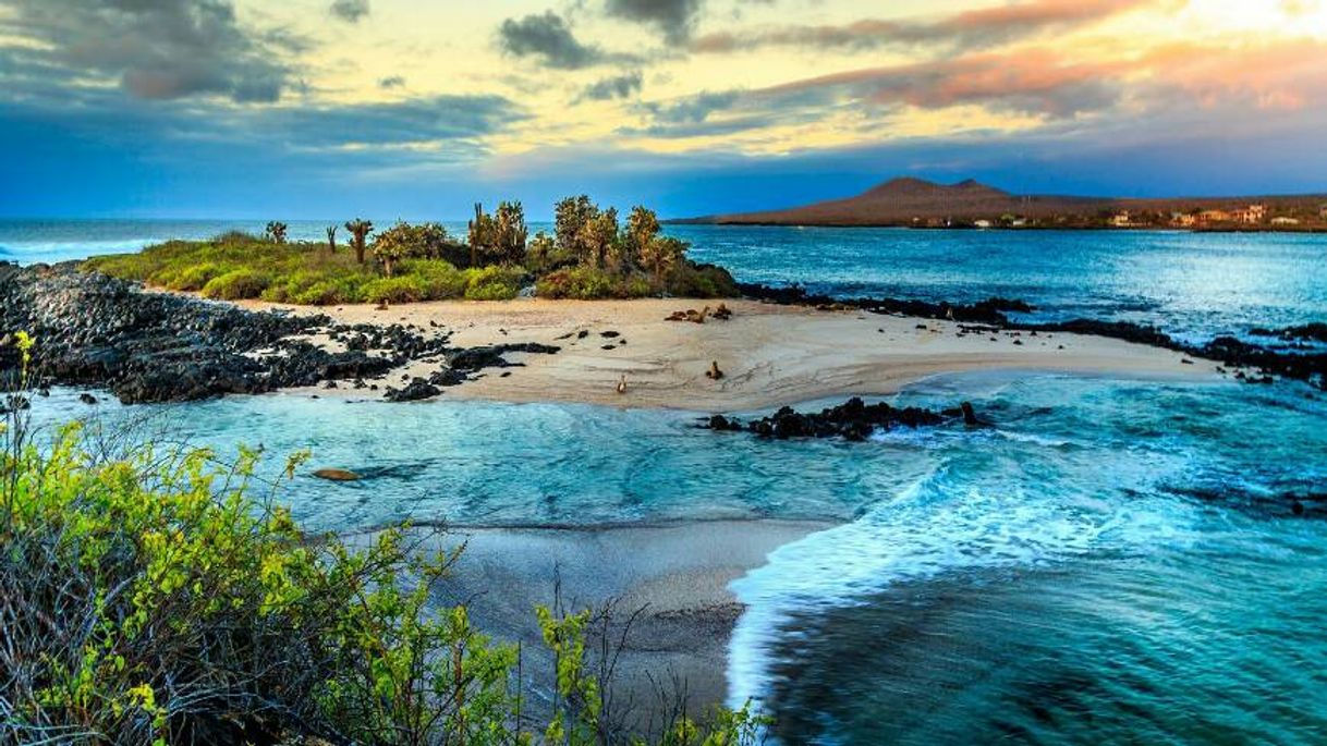 Place Galapagos Islands