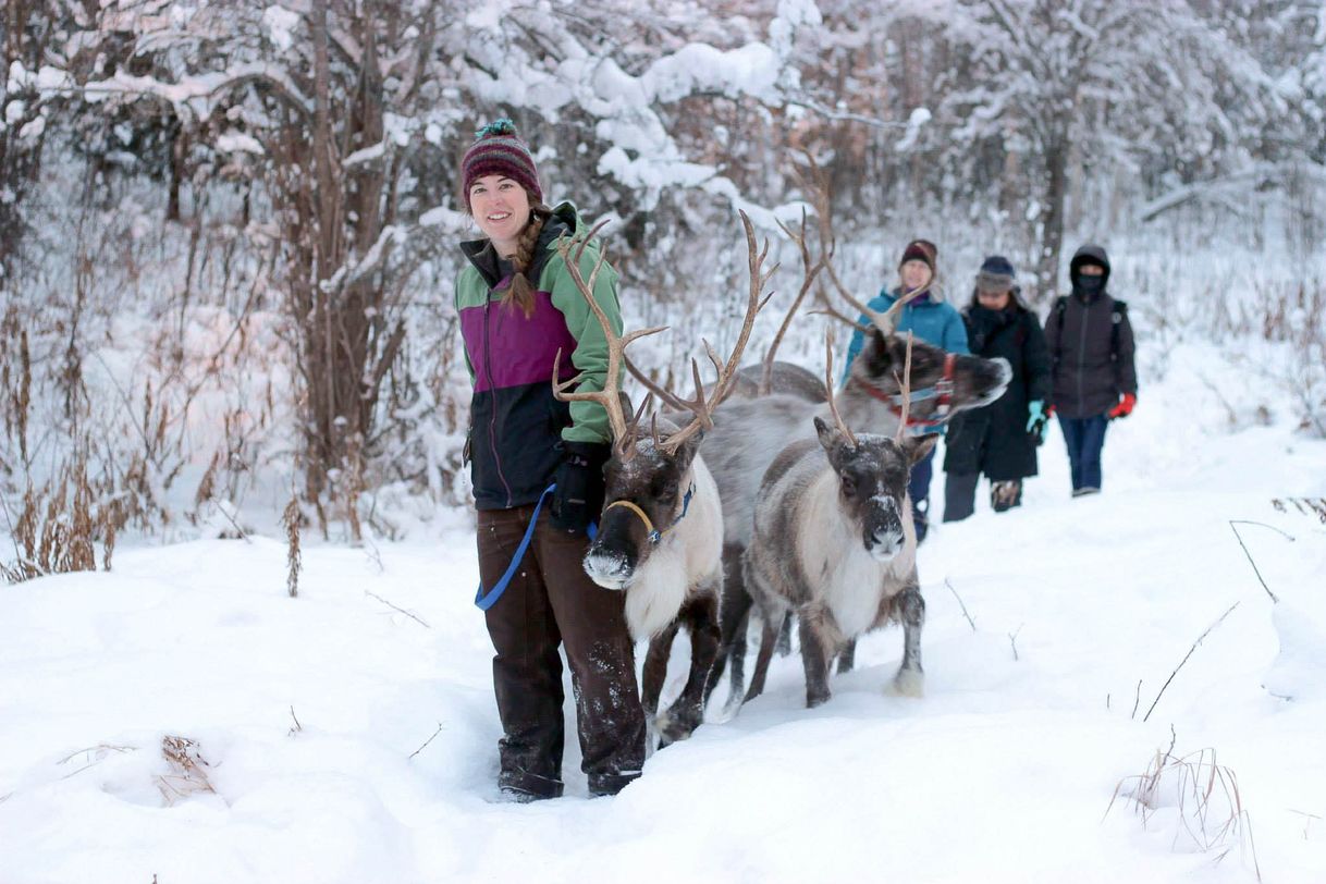 Lugar Running Reindeer Ranch