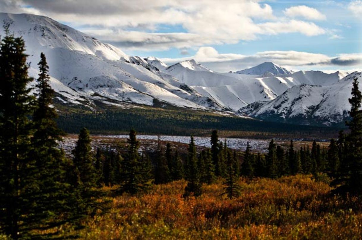 Lugar Denali National Park and Preserve