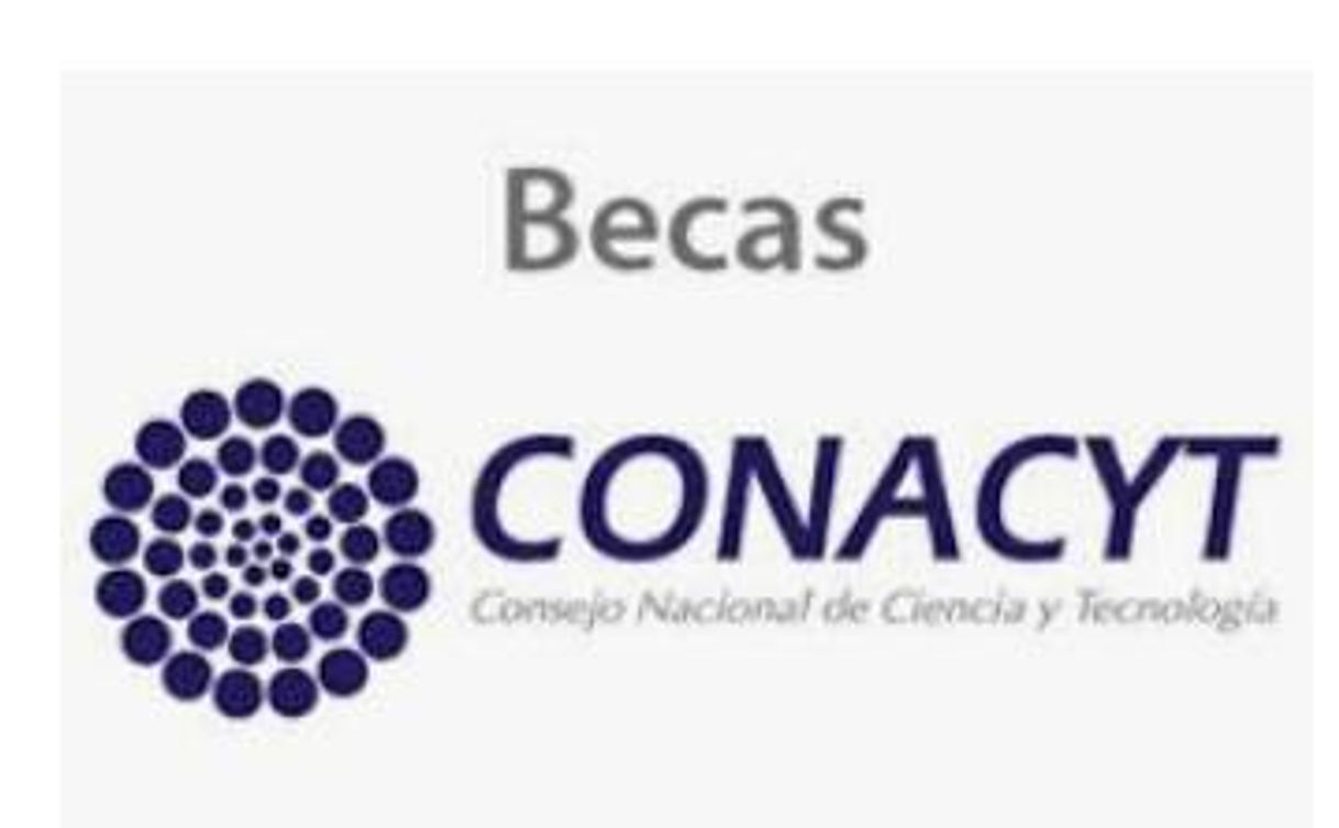 Social Becas Conacyt maestría y doctorado