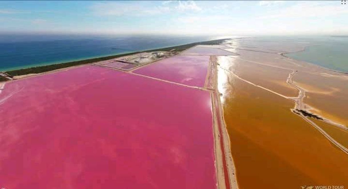 Lugar Las Coloradas Yucatan