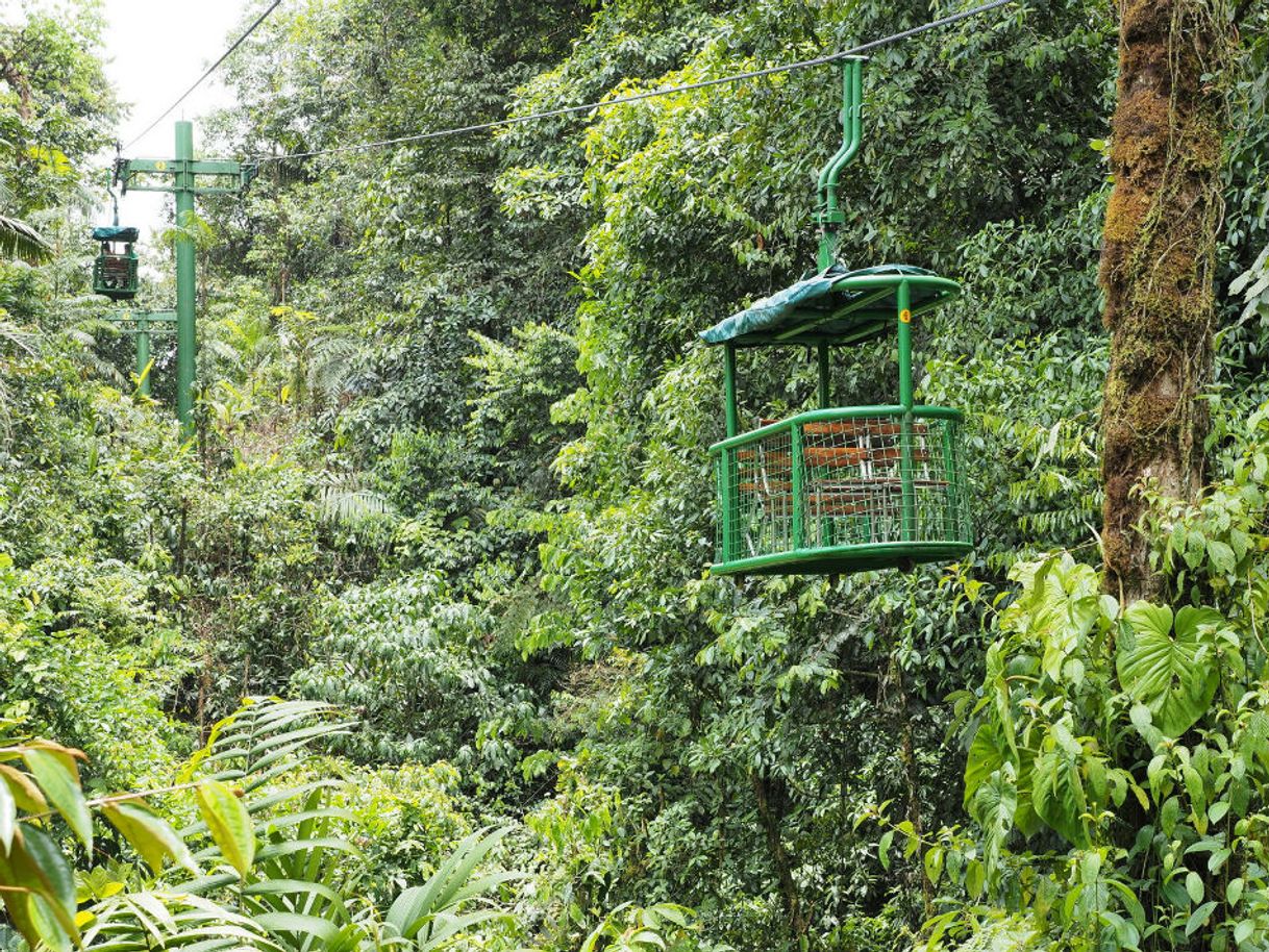 Place Parque Nacional Braulio Carrillo