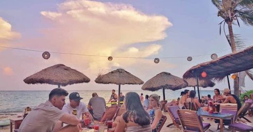 Fusion Beach Bar Cuisine - Beach - 894 Reviews - Facebook