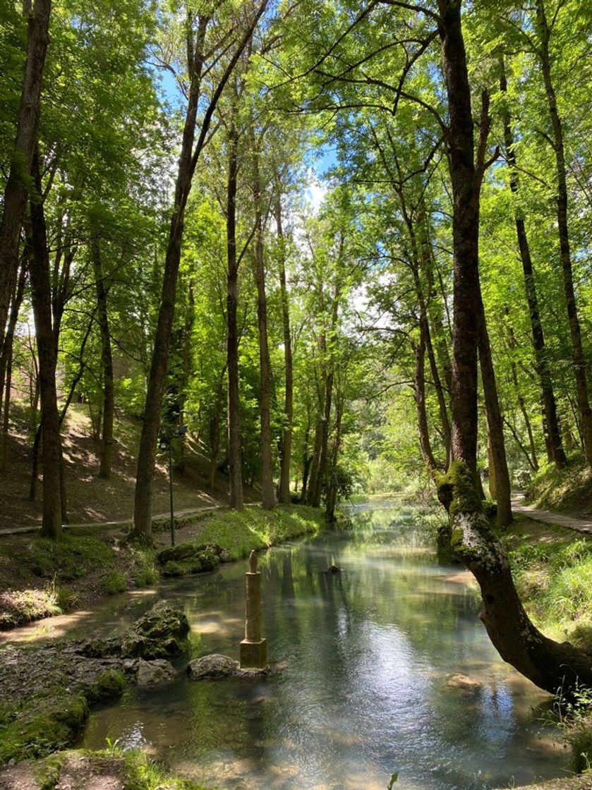 Place Nacimiento del Río Ebro