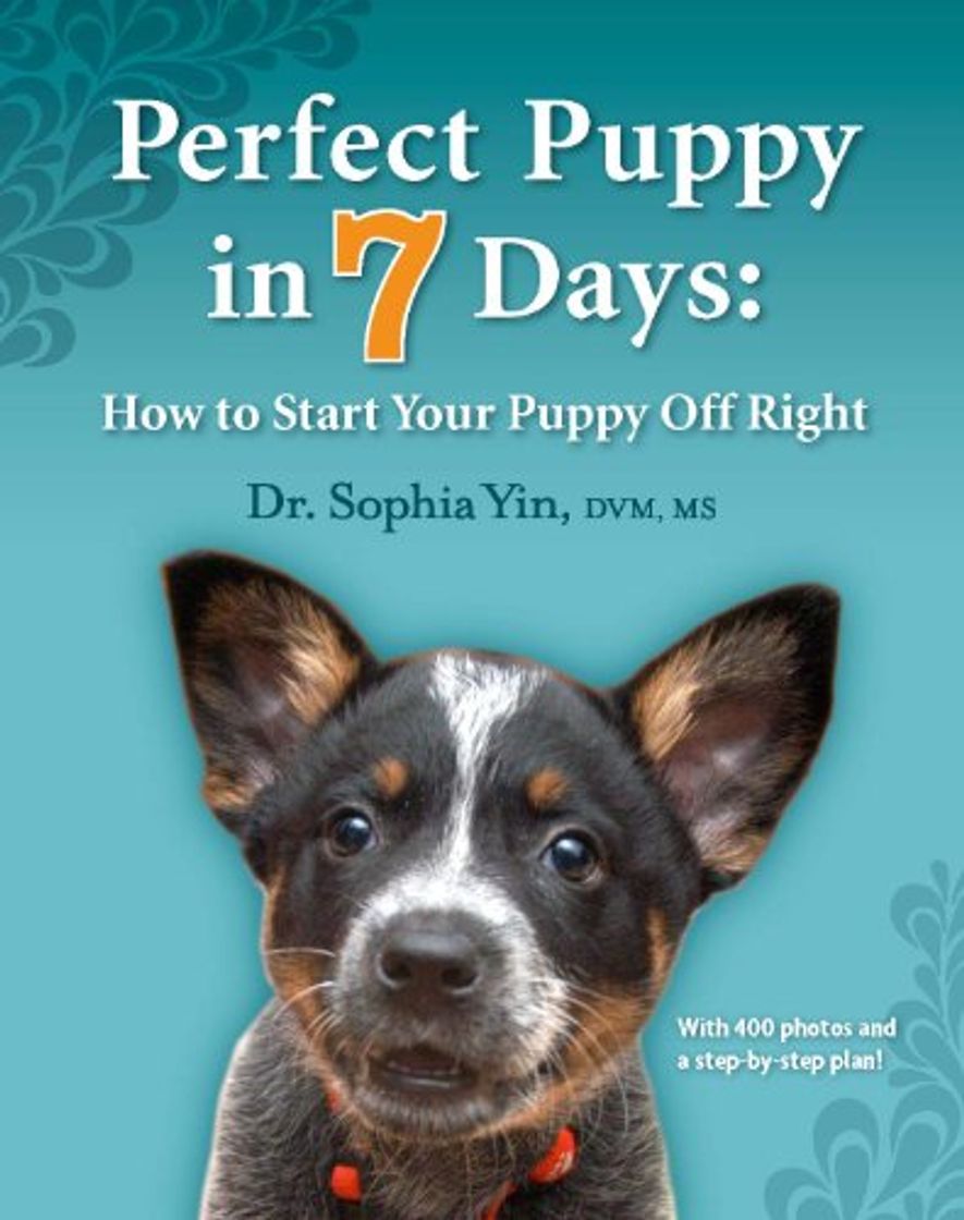 Book Perfect Puppy in 7 Days: How to Start Your Puppy Off Right