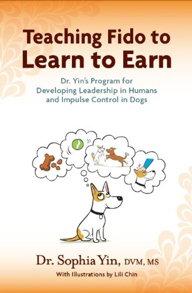 Fashion Teaching Fido to Learn to Earn: Dr. Yin's Program for Developing Leadership