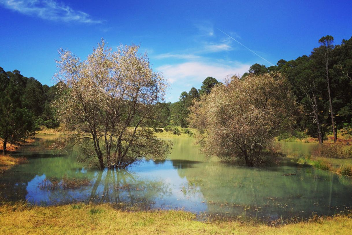 Lugar Rancho Santa Elena