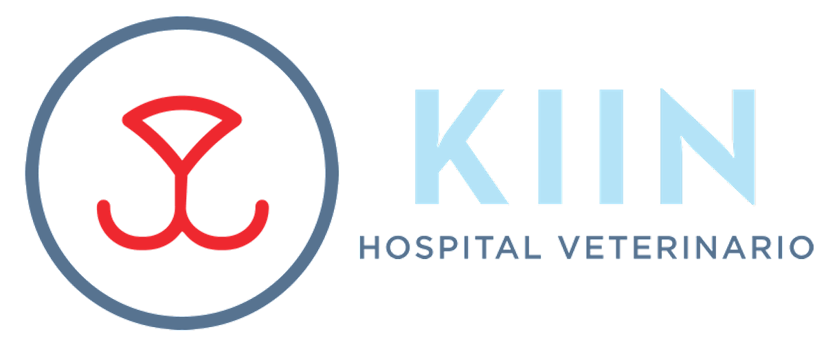 Moda Kiin Hospital Veterinario