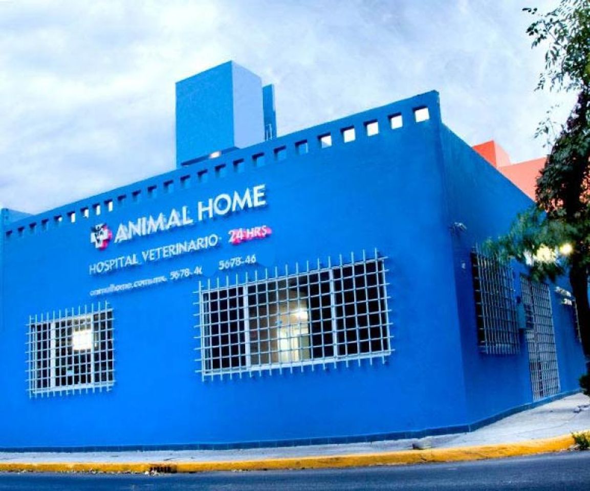 Moda Hospital Veterinario Animal Home