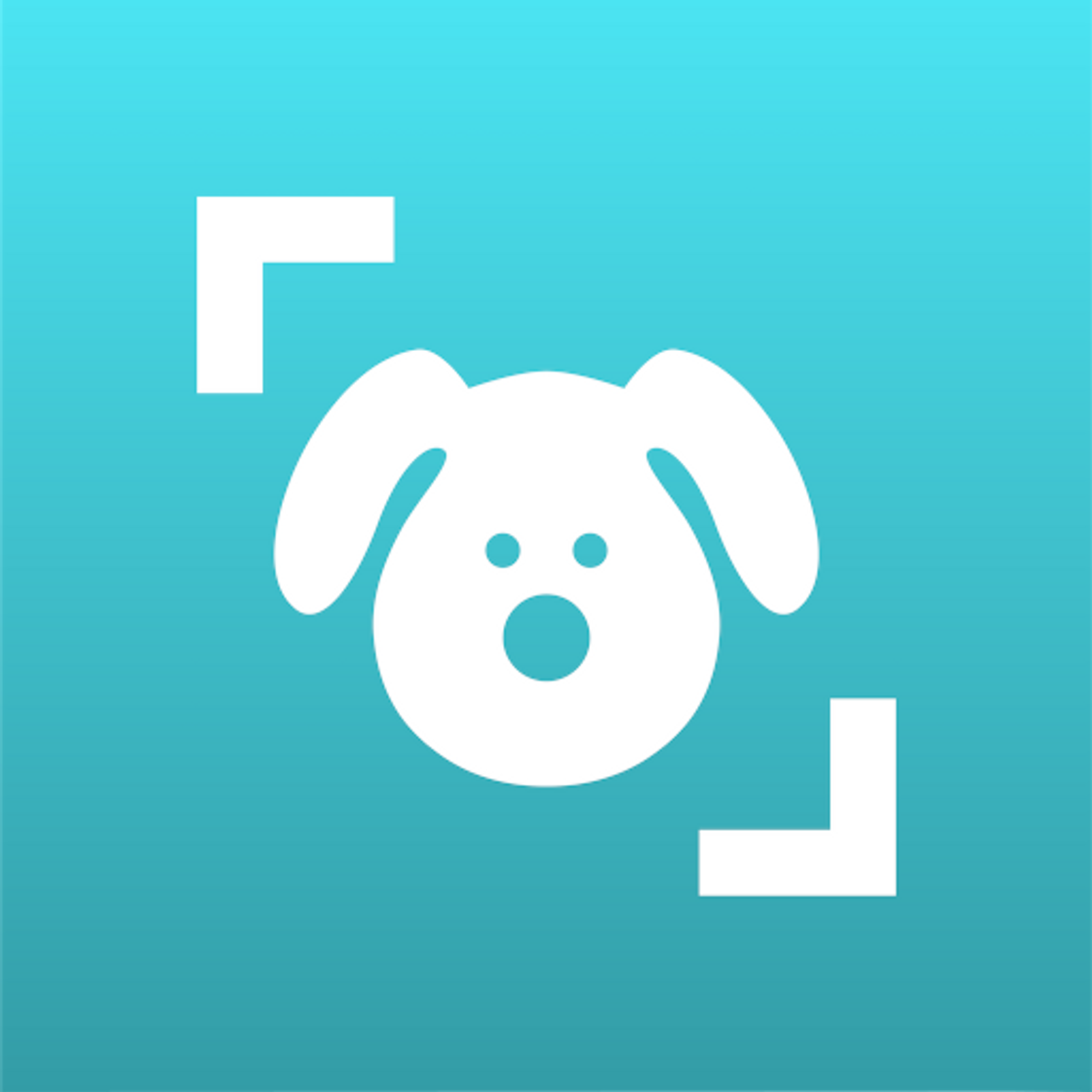 App Dog Scanner - Identificar la raza del perro