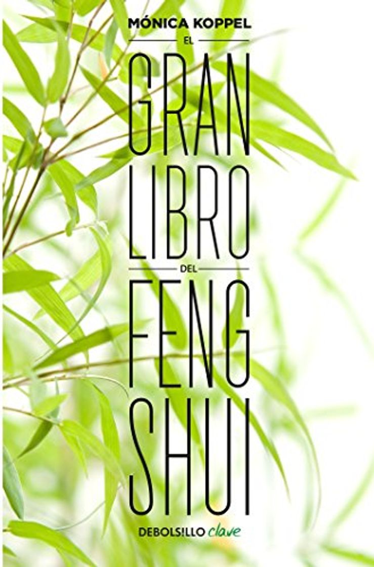 Book El Gran Libro del Feng Shui