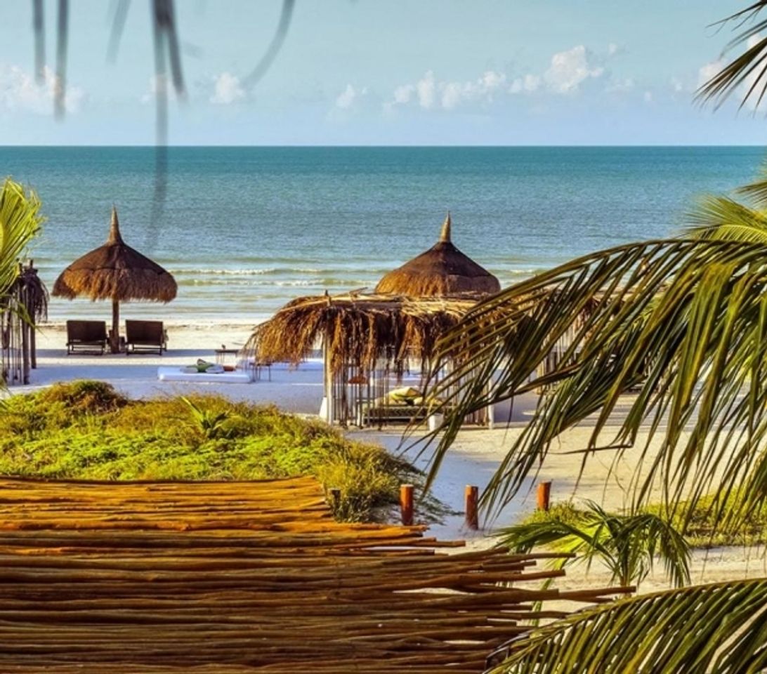 Fashion Ser Casasandra Hotel Boutique - Holbox México - Hotel on the beach