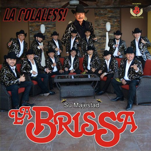 La Colaless