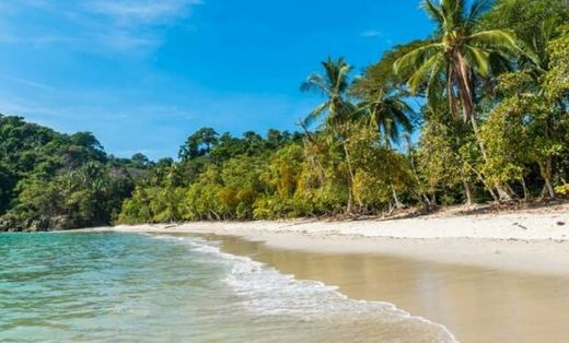 Playa Manuel Antonio